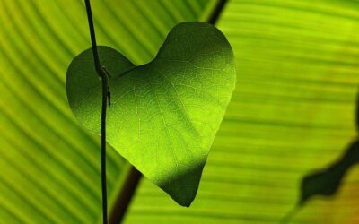 How much they pollute a cloud video or Facebook post